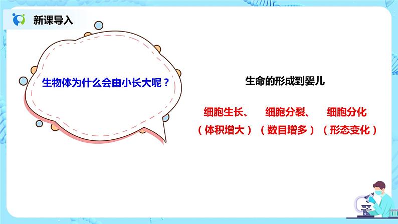 人教新版生物七年级上册《细胞通过分裂产生新细胞》课件+教案+练习06