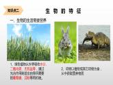 1.1.1生物的特征  课件2022-2023学年人教版生物七年级上册