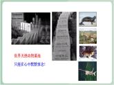 苏教版生物八年级上册15.2 保护生物多样性的艰巨使命 课件+教案