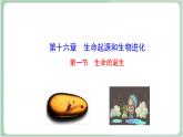 苏教版生物八年级上册16.1 生命的诞生 课件