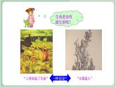苏教版生物八年级上册16.1 生命的诞生 课件