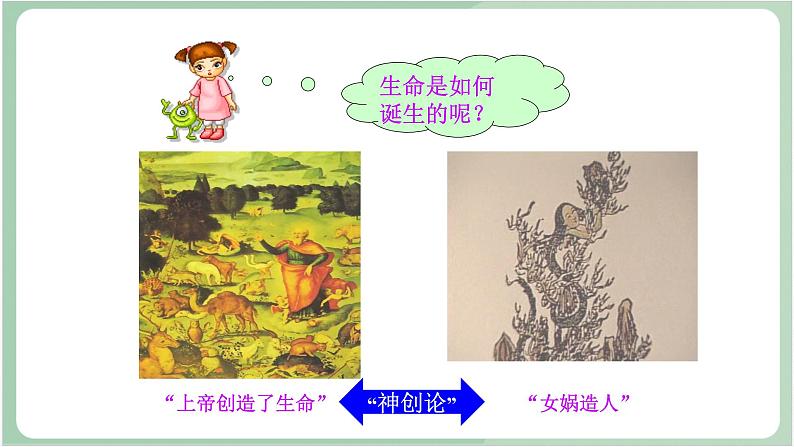 苏教版生物八年级上册16.1 生命的诞生 课件02