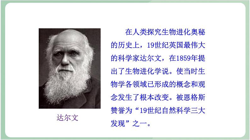 苏教版生物八年级上册16.3 生物进化的学说 教学设计 课件+教案02