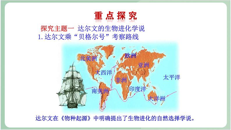 苏教版生物八年级上册16.3 生物进化的学说 教学设计 课件+教案04