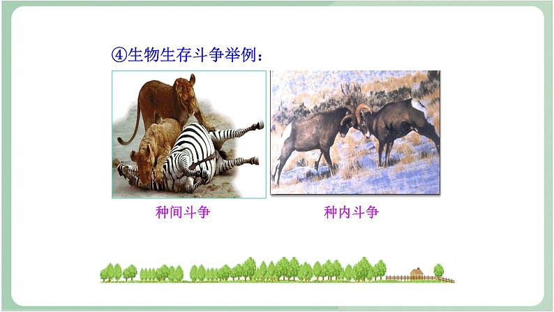 苏教版生物八年级上册16.3 生物进化的学说 教学设计 课件+教案06