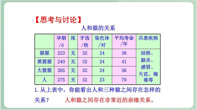 苏教版生物八年级上册16.4 人类的起源和进化 课件第8页