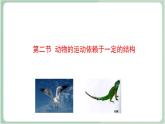 苏教版生物八年级上册17.2 动物的运动依赖于一定的结构 课件+教案