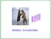 苏教版生物八年级上册17.2 动物的运动依赖于一定的结构 课件+教案