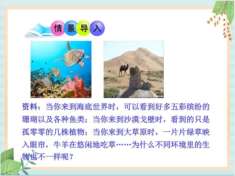 苏教版生物八年级上册20.1 生物圈中的各种生态系统   课件第2页