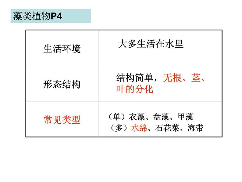 14.1五彩缤纷的植物世界课件  苏教版生物八年级上册07