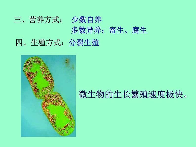 14.3神奇的微生物课件  苏教版生物八年级上册06