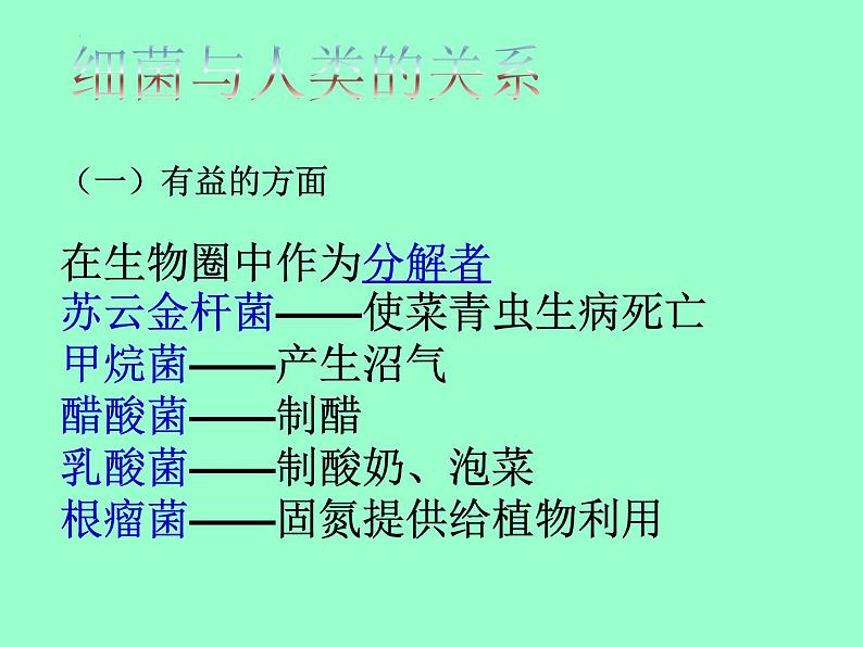 14.3神奇的微生物课件  苏教版生物八年级上册08