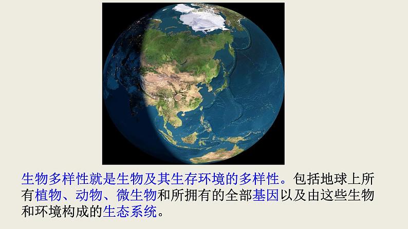 15.1  生物多样性课件  苏教版生物八年级上册07