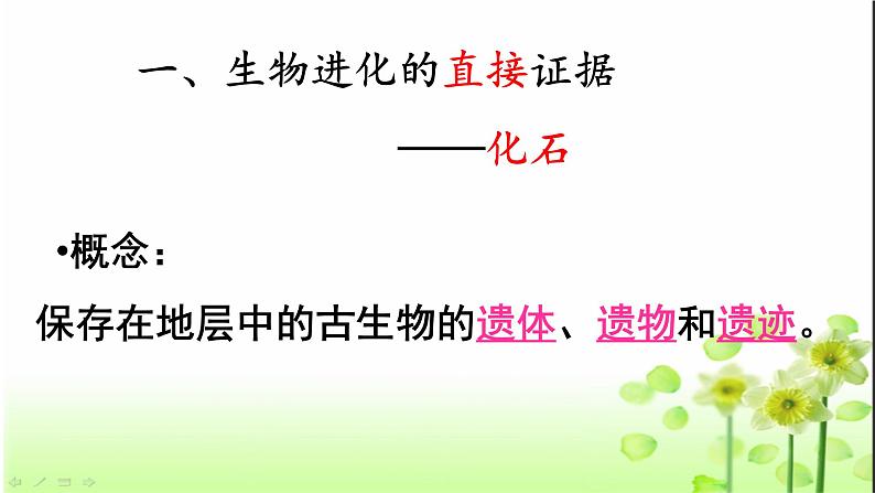 16.2   生物进化的历程  课件  苏教版生物八年级上册第8页