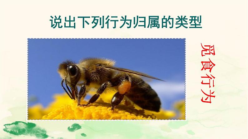 18.2   动物行为的生理基础  课件  苏教版八年级生物上册04