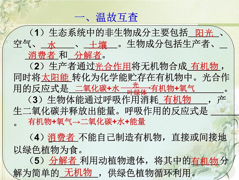 19.2生态系统中的能量流动和物质循环  课件    苏教版生物八年级上册02