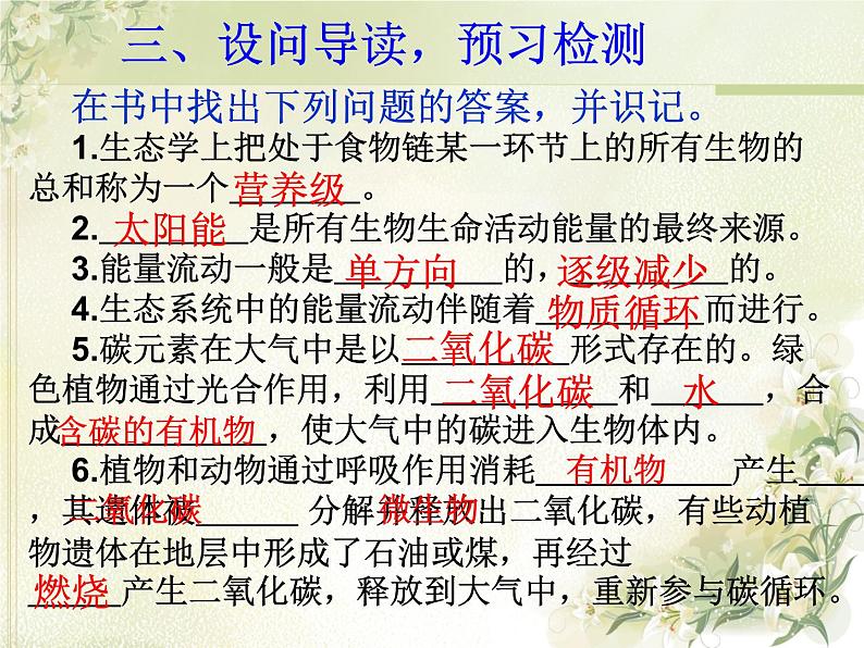 19.2生态系统中的能量流动和物质循环  课件    苏教版生物八年级上册05