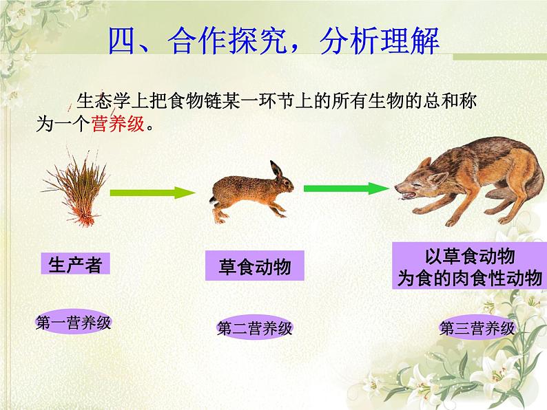 19.2生态系统中的能量流动和物质循环  课件    苏教版生物八年级上册06