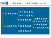 20.1生物圈中各种各样的生态系统  课件   苏教版生物八年级上册