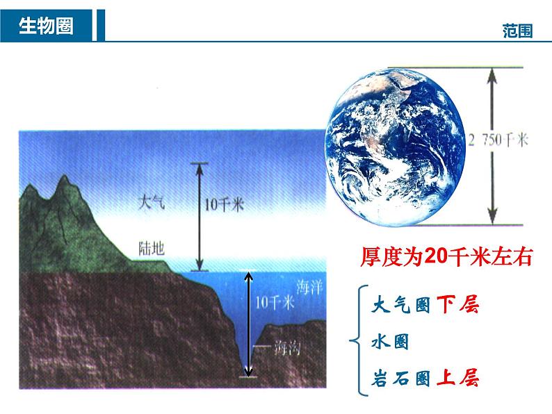 20.1生物圈中各种各样的生态系统  课件   苏教版生物八年级上册07