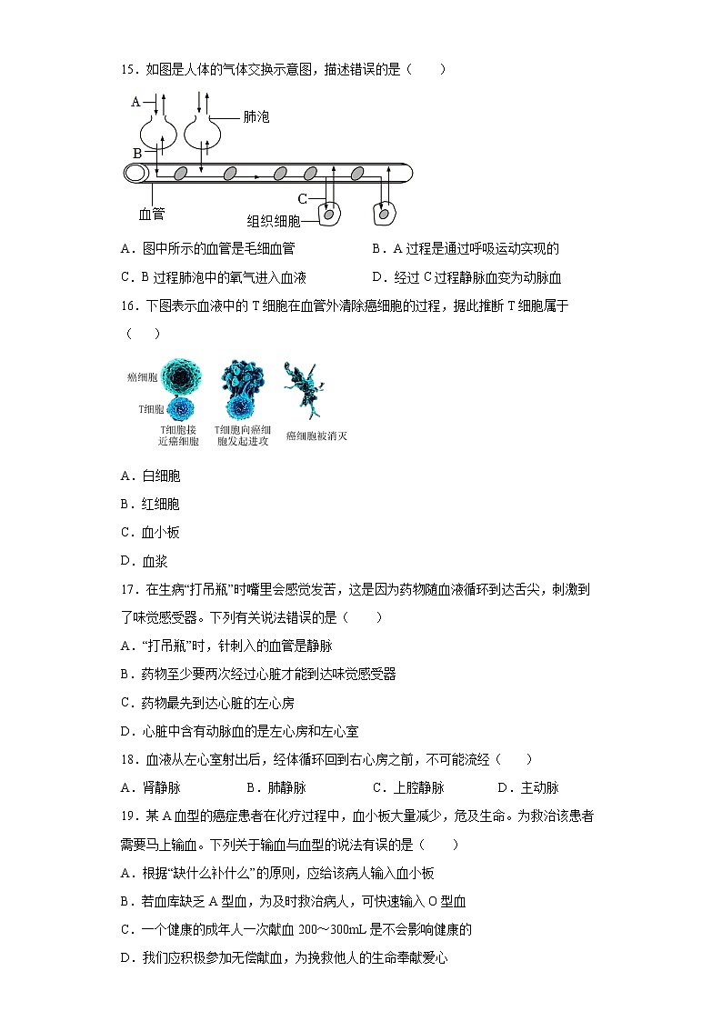 广东省深圳市龙华区2021-2022学年七年级下学期期末生物试题(word版含答案)第3页