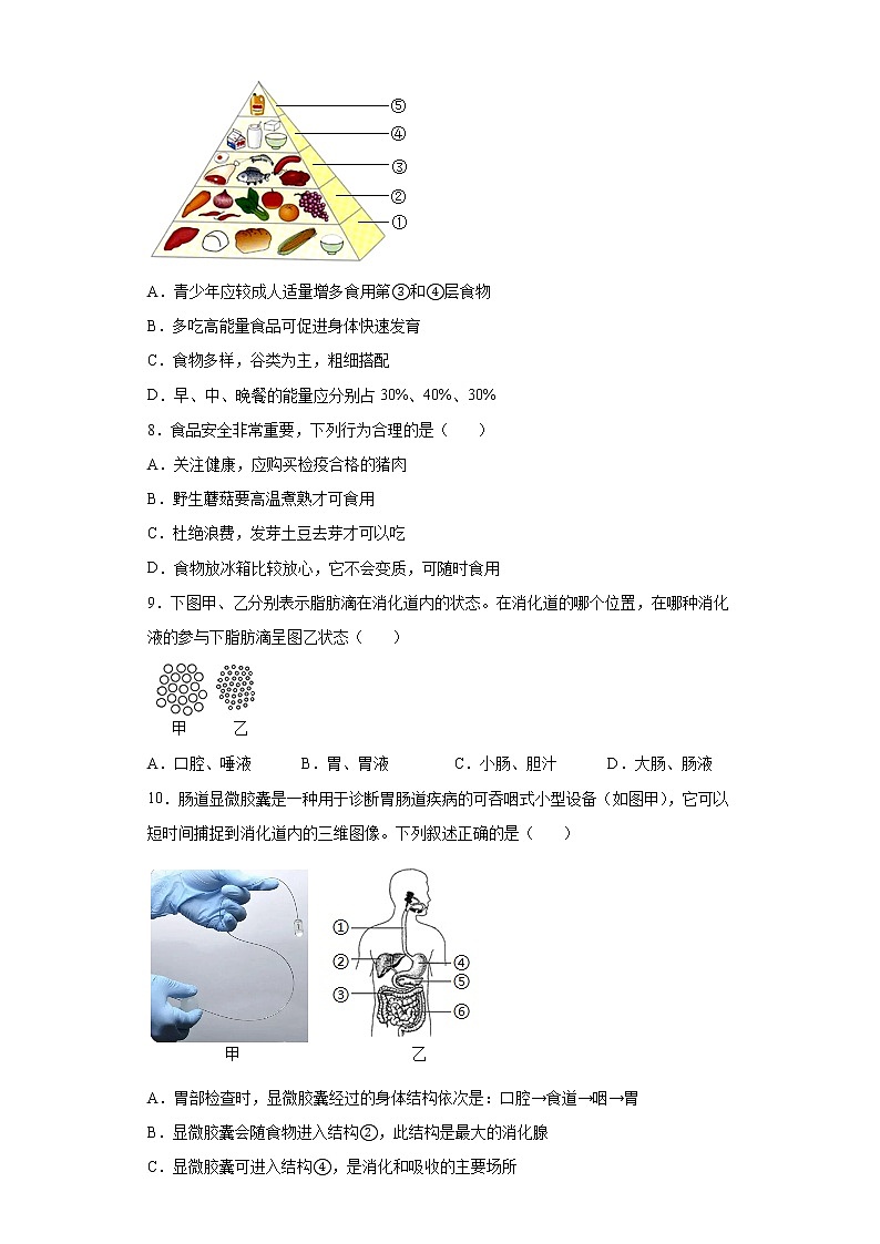 广东省佛山市禅城区2021-2022学年七年级下学期期末生物试题(word版含答案)02