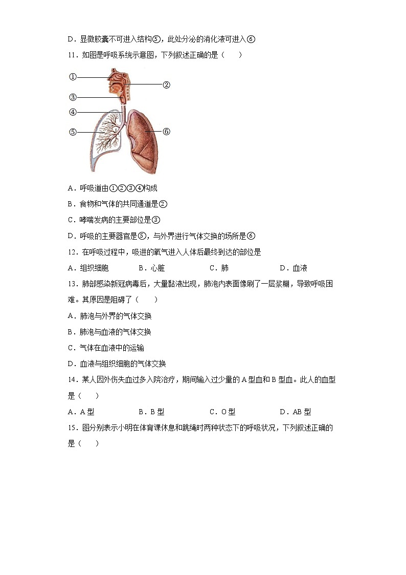 广东省佛山市禅城区2021-2022学年七年级下学期期末生物试题(word版含答案)03