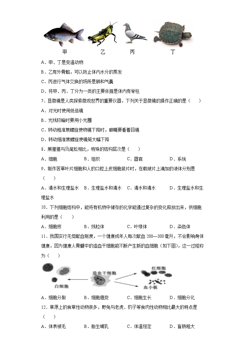 宁夏固原市原州区2021-2022学年七年级下学期期末生物试题(word版含答案)第2页