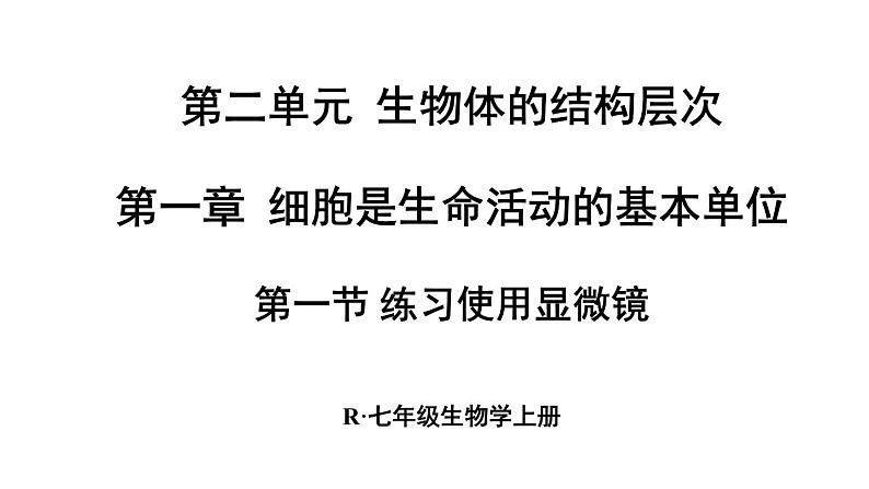 人教版七年级生物上册课件--第一节 练习使用显微镜01