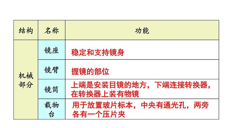 人教版七年级生物上册课件--第一节 练习使用显微镜07