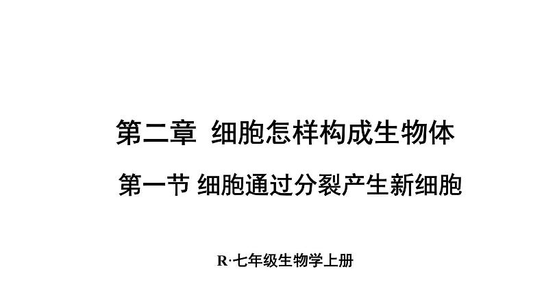 人教版七年级生物上册课件--第一节 细胞通过分裂产生新细胞第1页