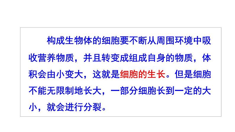 人教版七年级生物上册课件--第一节 细胞通过分裂产生新细胞第7页