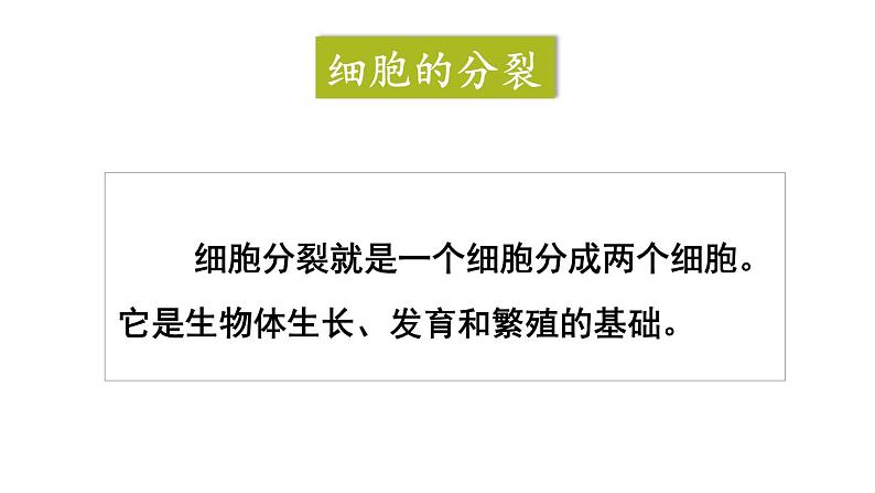 人教版七年级生物上册课件--第一节 细胞通过分裂产生新细胞第8页