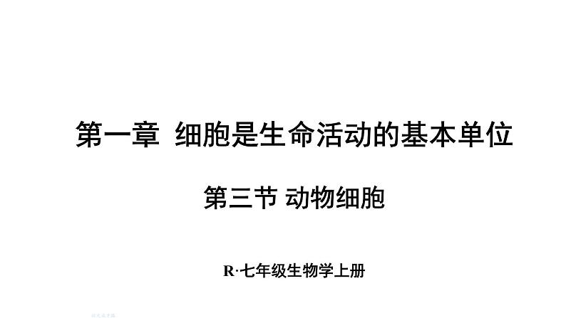 人教版七年级生物上册课件--第三节 动物细胞第1页