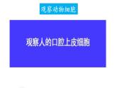 人教版七年级生物上册课件--第三节 动物细胞