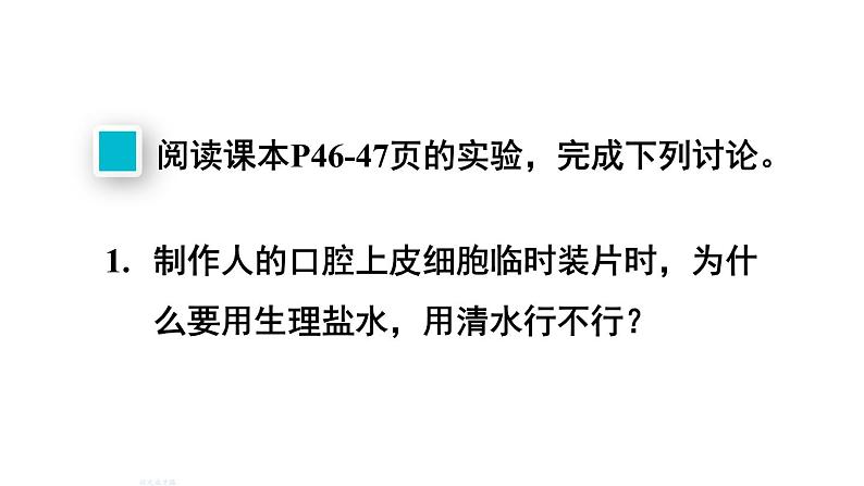 人教版七年级生物上册课件--第三节 动物细胞第6页