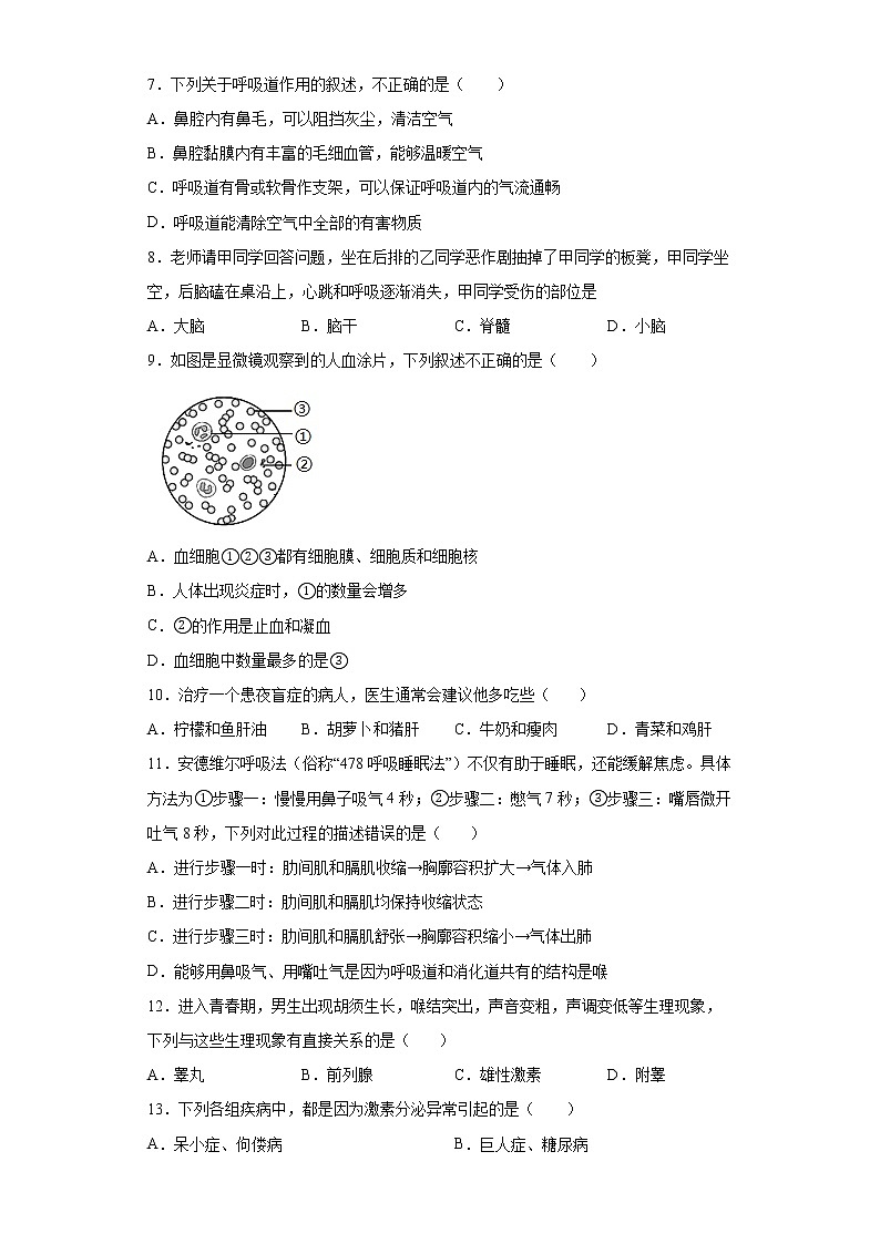 广东省汕头市龙湖区2021-2022学年七年级下学期期末生物试题(word版含答案)第2页