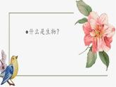 人教版初中生物學(xué)七年級上冊《生物的特征》課件