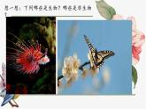 人教版初中生物學(xué)七年級上冊《生物的特征》課件