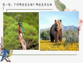人教版初中生物學(xué)七年級上冊《生物的特征》課件