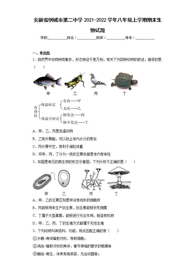 安徽省桐城市第二中学2021-2022学年八年级上学期期末生物试题(word版含答案)01
