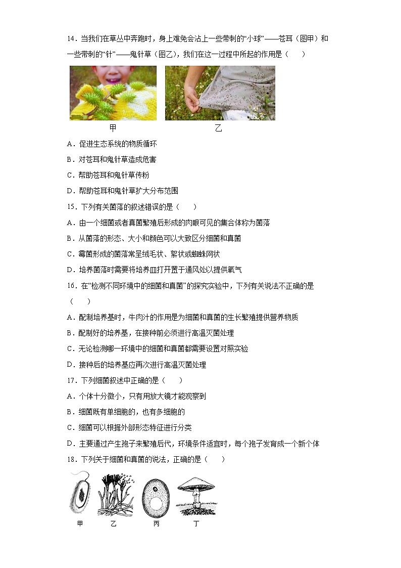 河南省郑州市第五十七中学2021-2022学年八年级上学期期末生物试题(word版含答案)第3页