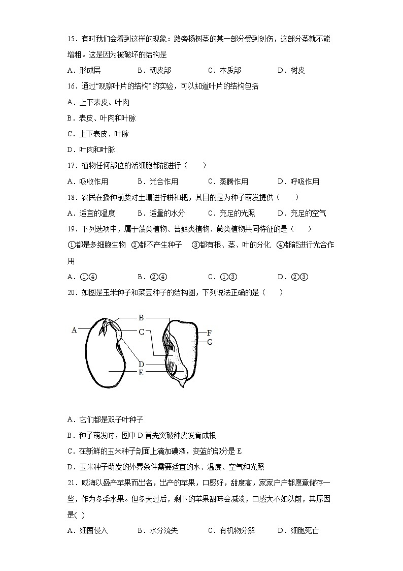 山西省大同市第十八中学校2021-2022学年七年级上学期期末生物试题(word版含答案)第3页