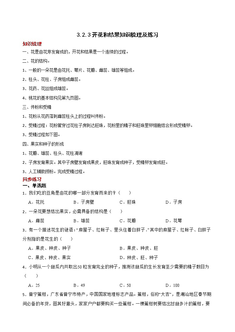 3.2.3开花和结果知识梳理及练习 2022-2023年人教版生物七年级上册01
