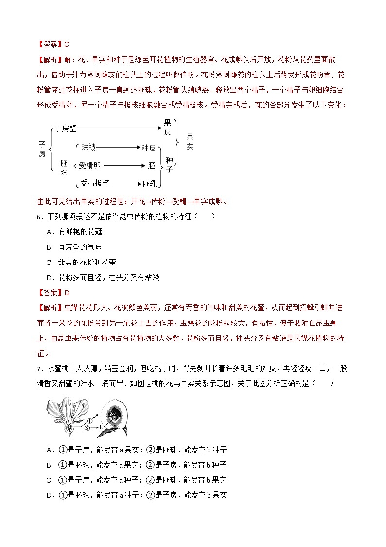 3.2.3开花和结果知识梳理及练习 2022-2023年人教版生物七年级上册03