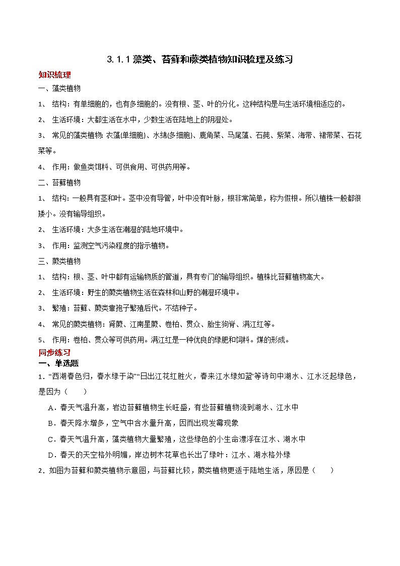 3.1.1藻类、苔藓和蕨类植物知识梳理及练习 2022-2023年人教版生物七年级上册01