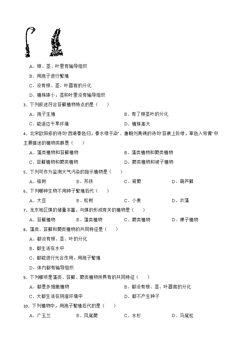 3.1.1藻类、苔藓和蕨类植物知识梳理及练习 2022-2023年人教版生物七年级上册02