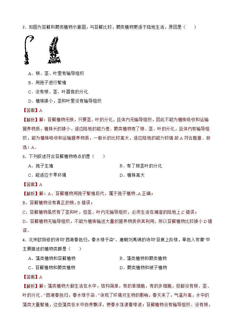 3.1.1藻类、苔藓和蕨类植物知识梳理及练习 2022-2023年人教版生物七年级上册02