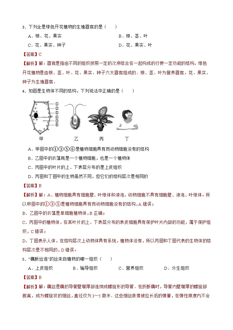 2.2.3植物体的结构层次知识梳理及练习 2022-2023年人教版生物七年级上册（解析版）第2页