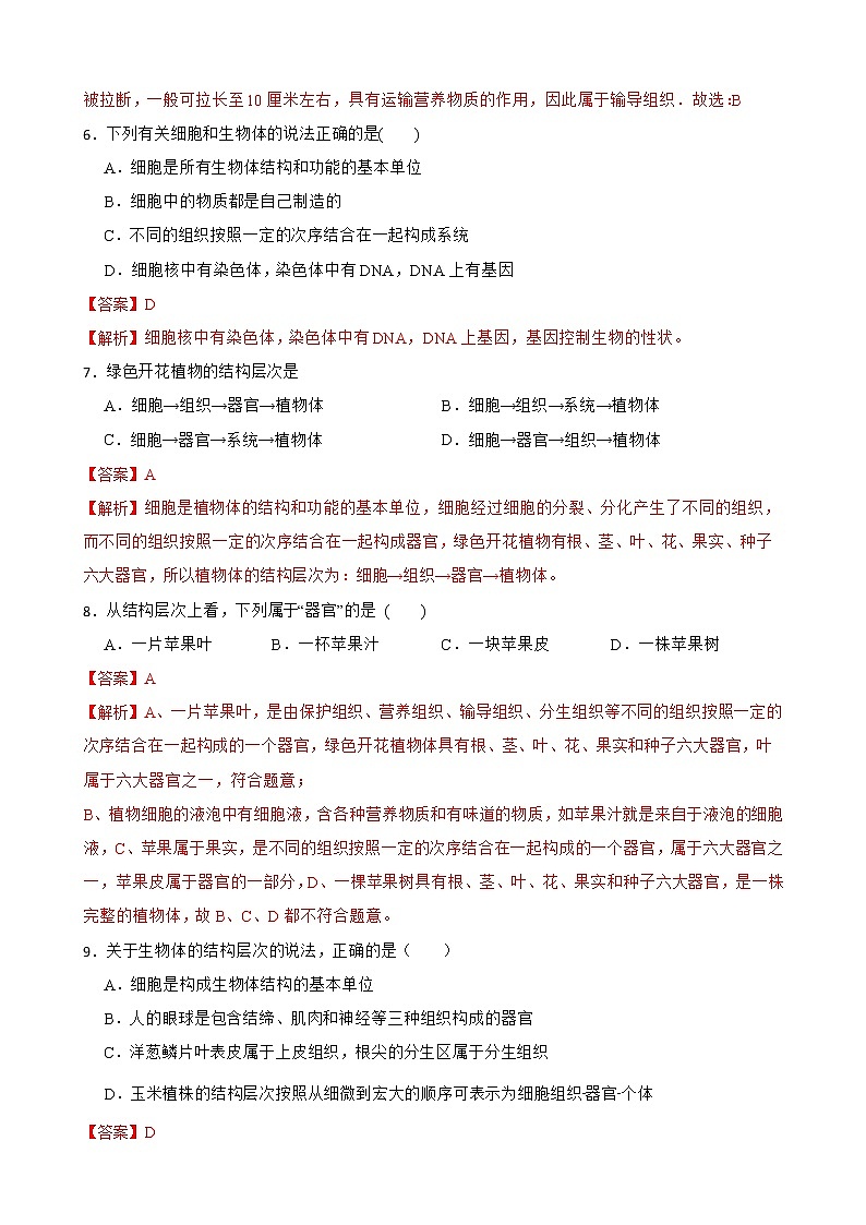 2.2.3植物体的结构层次知识梳理及练习 2022-2023年人教版生物七年级上册（解析版）第3页